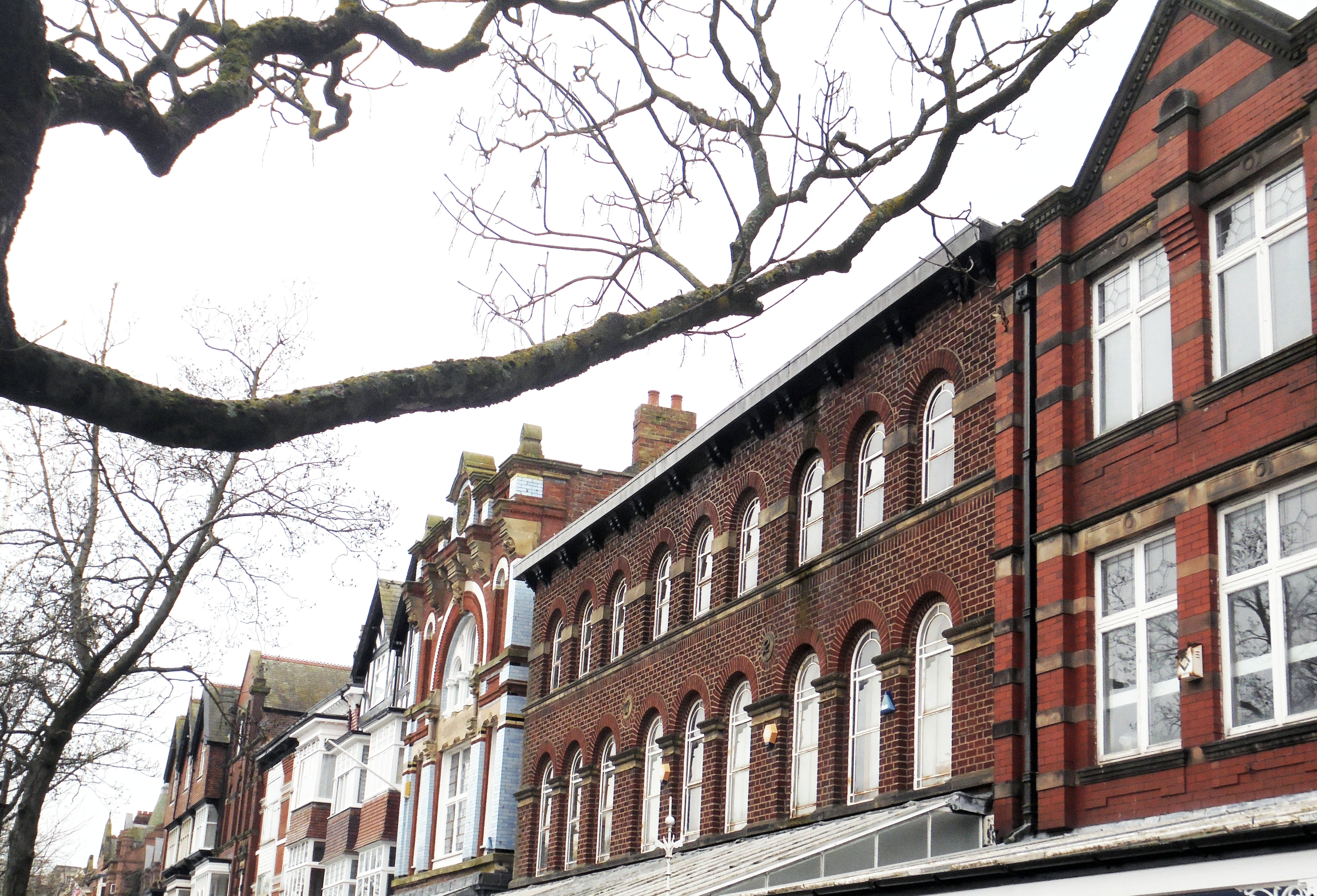 Image showing a row of buildings