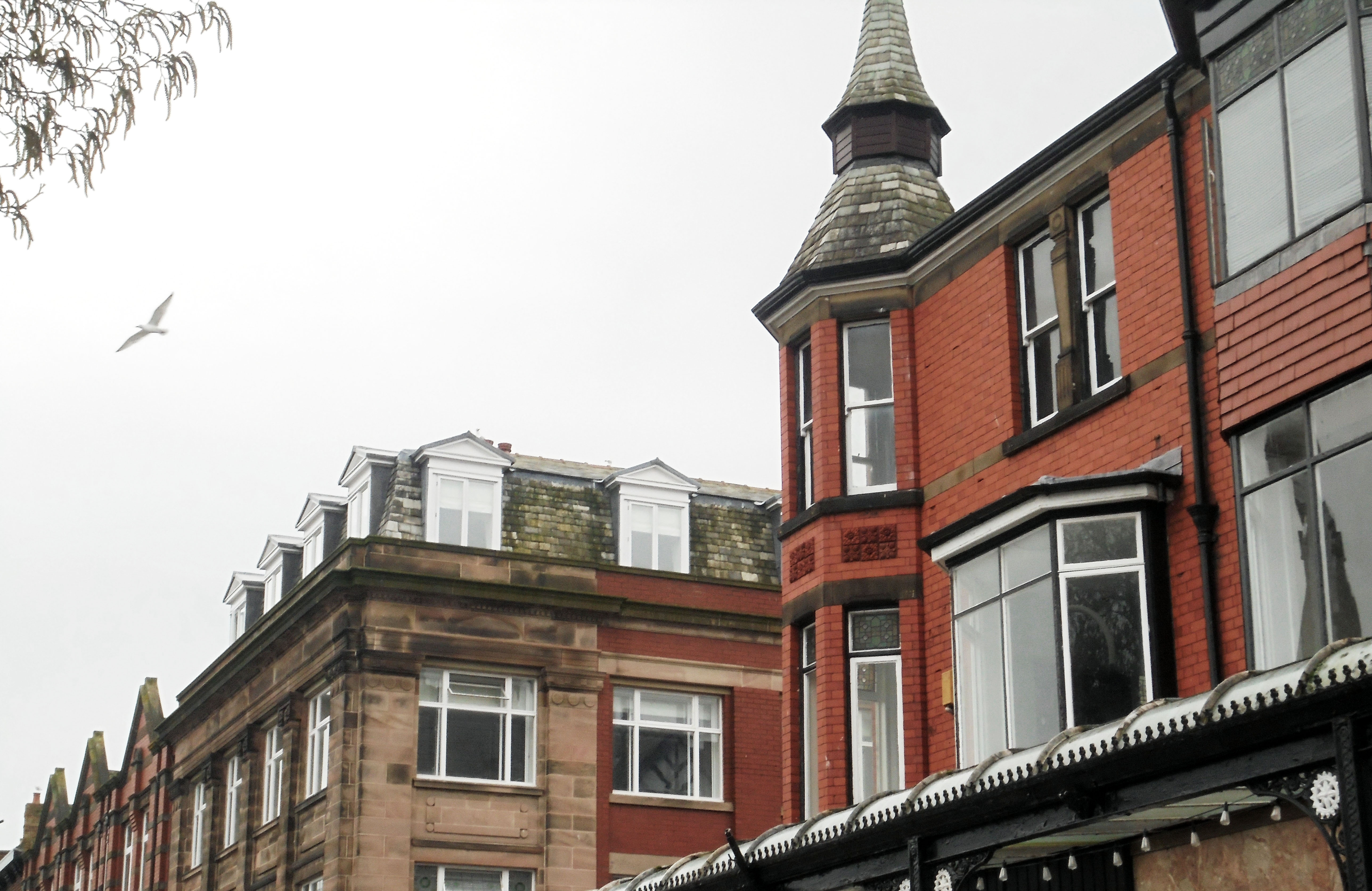 Image showing the top of a row of buildings on Lord Street